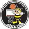 https://img.yxwxzxhg.com/img/basketball/team/e416830f4083698237c559f8988ddb25.png